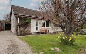 Steam Cottage